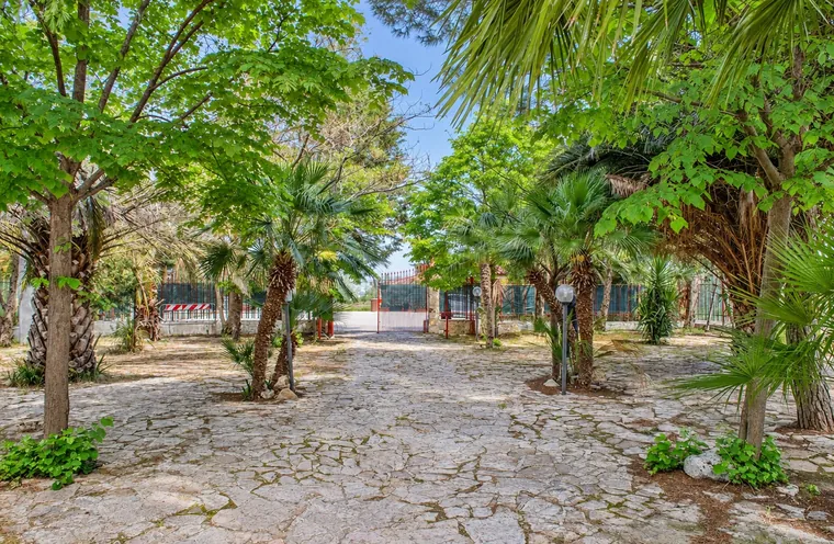 L'allée en pierre entre les arbres du jardin
